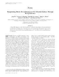 Manipulating Mitotic Recombination in the Zebrafish Embryo Through