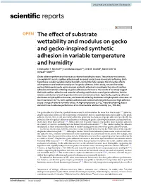 The Effect of Substrate Wettability and Modulus on Gecko and Gecko-Inspired Synthetic Adhesion in Variable Temperature and Humid