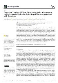 Grapevine Powdery Mildew: Fungicides for Its Management and Advances in Molecular Detection of Markers Associated with Resistance