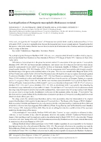 Lectotypification of Pentagonia Macrophylla (Rubiaceae) Revisited