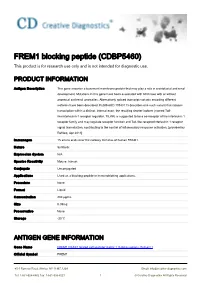FREM1 Blocking Peptide (CDBP5460) This Product Is for Research Use Only and Is Not Intended for Diagnostic Use