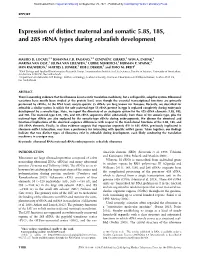 Expression of Distinct Maternal and Somatic 5.8S, 18S, and 28S Rrna Types During Zebrafish Development