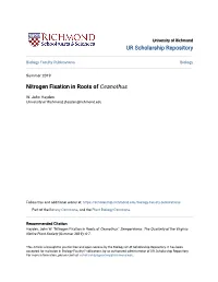 Nitrogen Fixation in Roots of Ceanothus