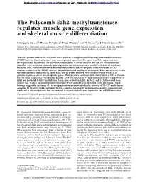 The Polycomb Ezh2 Methyltransferase Regulates Muscle Gene Expression and Skeletal Muscle Differentiation