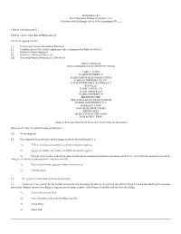 Filed by the Registrant [ ]