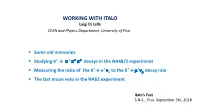 WORKING with ITALO Luigi Di Lella CERN and Physics Department, University of Pisa