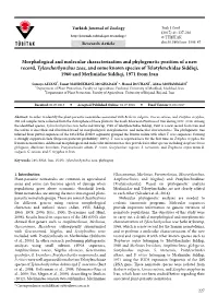 Morphological and Molecular Characterization And