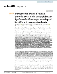 Pangenome Analysis Reveals Genetic Isolation in Campylobacter Hyointestinalis Subspecies Adapted to Different Mammalian Hosts
