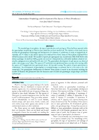Gametophyte Morphology and Development of Six Species of Pteris (Pteridaceae) from Java Island Indonesia