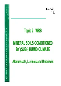 Topic 2 WRB MINERAL SOILS CONDITIONED by (SUB-) HUMID