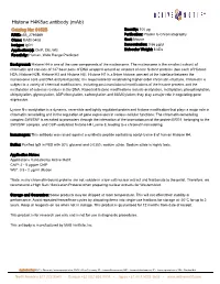 Active Motif Technical Data Sheet (TDS)