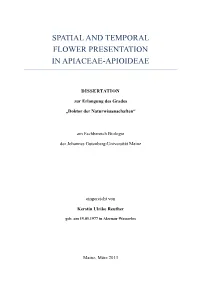 Spatial and Temporal Flower Presentation in Apiaceae-Apioideae