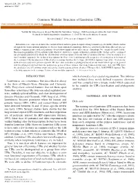 Common Modular Structure of Lentivirus Ltrs