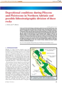 Depositional Conditions During Pliocene and Pleistocene in Northern Adriatic and Possible Lithostratigraphic Division of These Rocks J