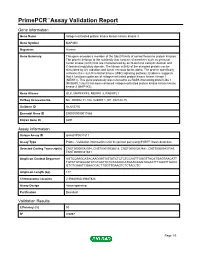 Primepcr™Assay Validation Report