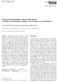 Phylogenetic Relationships of Iberian Dung Beetles Coleoptera: Scarabaeinae): Insights on the Evolution of Nesting Behavior