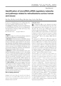 Identification of Microrna-Mrna Regulatory Networks and Pathways Related to Retinoblastoma Across Human and Mouse