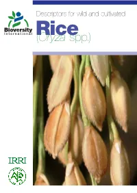 (Oryza Spp.) List of Descriptors