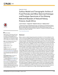 Surface Model and Tomographic Archive of Fossil Primate and Other