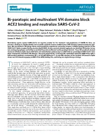 Bi-Paratopic and Multivalent VH Domains Block ACE2 Binding and Neutralize SARS-Cov-2