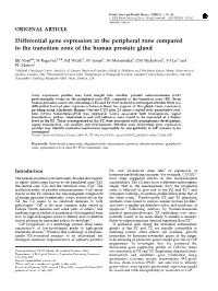 Differential Gene Expression in the Peripheral Zone Compared to the Transition Zone of the Human Prostate Gland