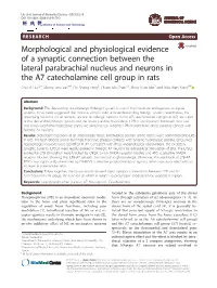Morphological and Physiological Evidence of a Synaptic Connection