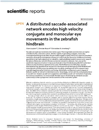 A Distributed Saccade-Associated Network Encodes High Velocity