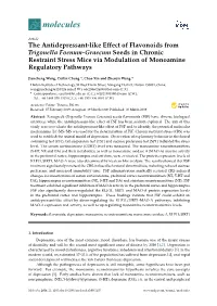 The Antidepressant-Like Effect of Flavonoids from Trigonella Foenum-Graecum Seeds in Chronic Restraint Stress Mice Via Modulation of Monoamine Regulatory Pathways