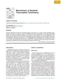 Mechanisms of Bacterial Transcription Termination
