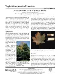 Verticillium Wilt of Shade Trees R