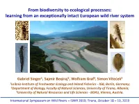From Biodiversity to Ecological Processes: Learning from an Exceptionally Intact European Wild River System