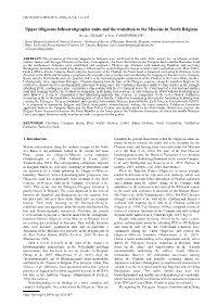 Upper Oligocene Lithostratigraphic Units and the Transition to The