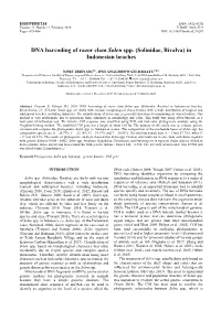 DNA Barcoding of Razor Clam Solen Spp.(Solinidae, Bivalva) In