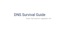 DNS Survival Guide