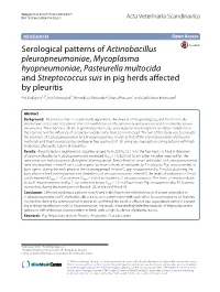 Serological Patterns of Actinobacillus Pleuropneumoniae, Mycoplasma