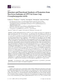 Structure and Functional Analysis of Promoters from Two Liver Isoforms of CPT I in Grass Carp Ctenopharyngodon Idella