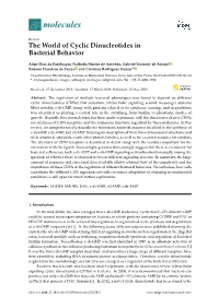 The World of Cyclic Dinucleotides in Bacterial Behavior