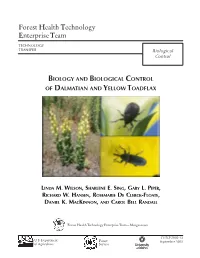 Biology and Biological Control of Dalmatian and Y Ellow T Oadflax