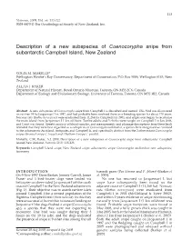 Description of a New Subspecies of Coenocorypha Snipe from Subantarctic Campbell Island, New Zealand