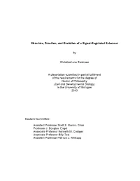 Structure, Function, and Evolution of a Signal-Regulated Enhancer