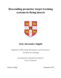 Descending Premotor Target Tracking Systems in Flying Insects