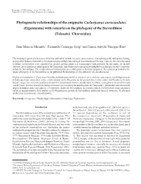 Eigenmann) with Remarks on the Phylogeny of the Stevardiinae (Teleostei: Characidae