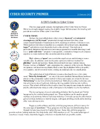 CYBER SECURITY PRIMER 21 January 2011