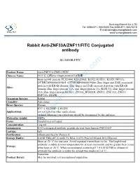 Rabbit Anti-ZNF33A/ZNF11/FITC Conjugated Antibody-SL18490R