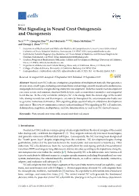 Wnt Signaling in Neural Crest Ontogenesis and Oncogenesis