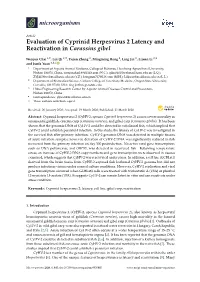 Evaluation of Cyprinid Herpesvirus 2 Latency and Reactivation in Carassius Gibel