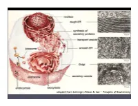 Intro Biophysics