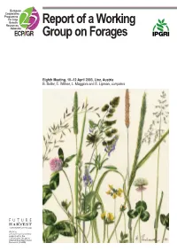 Report of a Working Group on Forages: Eighth Meeting