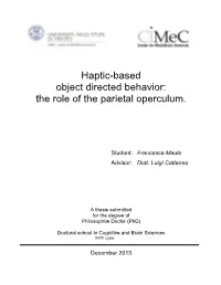 The Role of the Parietal Operculum