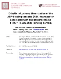 D-Helix Influences Dimerization of the ATP-Binding Cassette (ABC) Transporter Associated with Antigen Processing 1 (TAP1) Nucleotide-Binding Domain